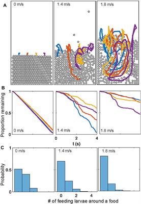 Air-Fluidized Aggregates of Black Soldier fly Larvae